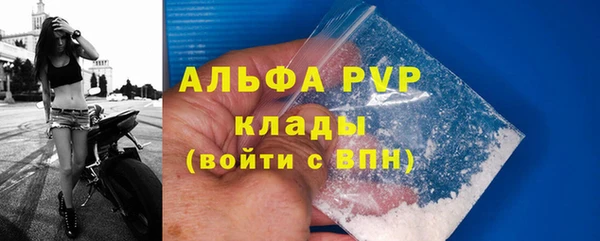 сатива Богородицк