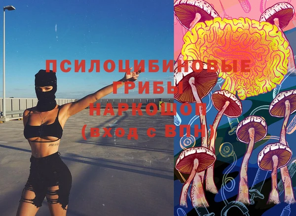 гидропоника Богородск