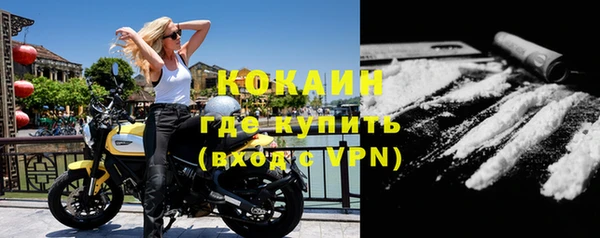 сатива Богородицк