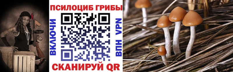 Псилоцибиновые грибы ЛСД  МЕГА tor  Новосибирск 